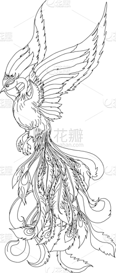 妖精的vc采集到龙凤