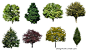 cut-out trees for photoshop - download: 