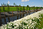 16-sant-en-co-landscapearchitecture-Schinkeleilanden.jpg (1050×703)