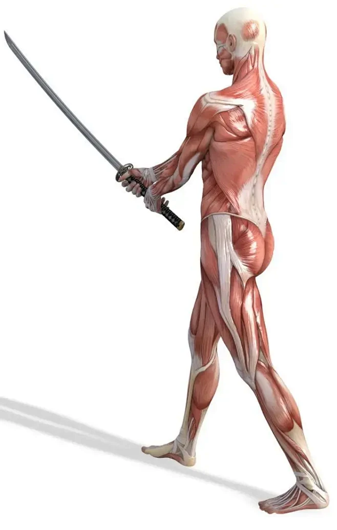 【绘画参考】画师九条的男性持刀姿势人体肌...