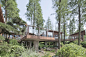 16_Metasequoia Wood Cabins by UAO