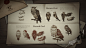 网易游戏《哈利波特·魔法觉醒》的一些项目图——猫头鹰系列, Ryan Wong : 在《哈利波特·魔法觉醒》项目中画的部分猫头鹰的设计图