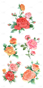 2309SC-素材组合-手绘水粉玫瑰花花朵元素