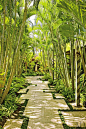 Exotic Garden by Werner Design Associates and Mark de Reus in Kona, Hawaii #modern #gardendesign #landscapearchitecture