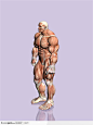 人体肌肉骨骼-健壮的男性肌肉侧面