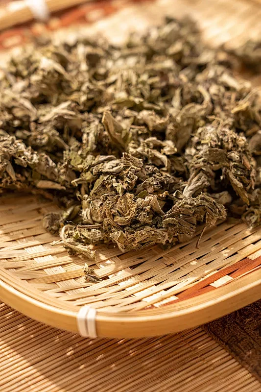 中草药艾叶图片素材-花瓣网