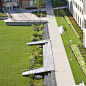 Salem State University, Marsh Hall | Landscape Architect: H. Keith Wagner Partnership | Architect: Dimella Shaffer | Image Credit: Westphalen Photography | This residential hall project is located adjacent to a sensitive tidal salt marsh. Stormwater from 