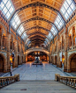 Natural History Museum, London, England自然历史博物馆，伦敦，英格兰