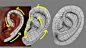 reference topology head - Recherche Google