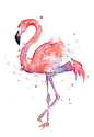 Flamingo Watercolor painting - Art Print A Giclee Print of my original watercolor painting of a beautiful flamingo. - High quality archival: 