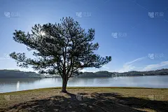 孤独的松树和索爱旺湖