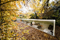 004-studio-in-the-wood-960x640