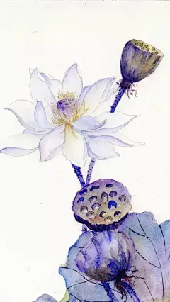 #水彩#