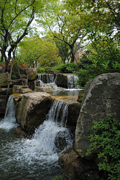 烟雨兰花采集到云水禅心