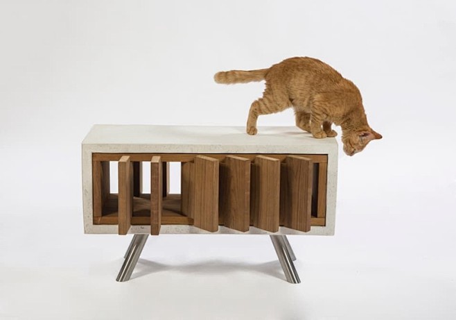 创意猫屋建筑师为动物安家architectsforanimalsgivingshelter12