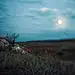 illushb1595