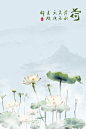 修图师素材～夏日荷花写真素材 - 小红书