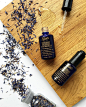 Kiehl's Since 1851 (@kiehls)'s Instagram Profile on Tofo.me: Instagram Online Viewer