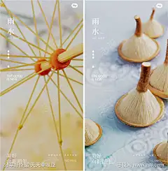 雨水谷雨蔬菜海报-源文件下载