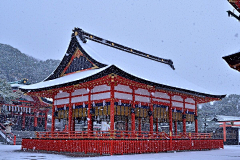 忘川未渡采集到场景