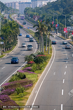 丕绪之鸟采集到道路