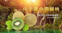 水果海报 【酷图网】展架展板,宣传栏,宣传单,鲜果店,新鲜美味,绿色健康,清脆爽口,苹果雪梨,葡萄樱桃,猕猴桃,超市商场,香蕉橙子,果园果树,画册挂画,卡通艺术,西瓜菠萝,柚子榴莲,果篮包装