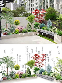 海&感觉采集到别墅绿化
