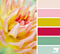 Design Seeds® | find your palette