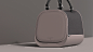 The aroma pet carrier