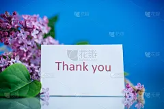 丁香花,美,贺卡,边框,水平画幅,无人,五月,夏天,花束,明信片