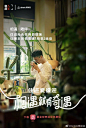 《奇遇人生2》相遇就有奇遇-陪伴