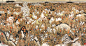 8d3bc780gy1hkm6ven3ztj20rm0esqiq.jpg,393x210 像素