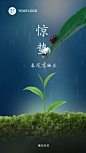 节气惊蛰祝福排版手机海报