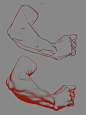 Bargue - Anatomy 2013 - 2D Version - Arm