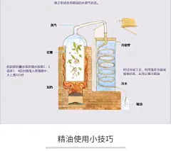 伊莲娇雪薰衣草纯植物单方精油祛痘去痘印淡化疤痕香薰安神助睡眠-淘宝网