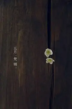 小时候背那么多诗有什么用？这是我听过的最好的答案