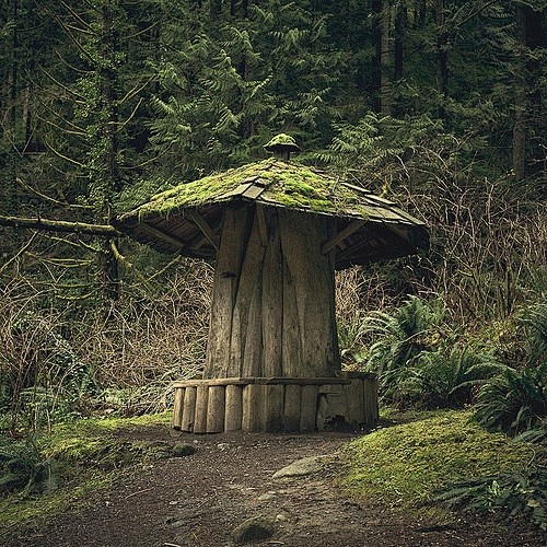 蘑菇棚 - 温哥华