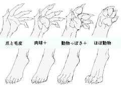 楼图兰的梦采集到人体、怪物结构