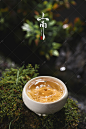 《森林红》茶叶拍摄案例-古田路9号-品牌创意/版权保护平台