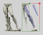 Anatomy For Sculptors - anatomy
