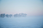 晴日雾凇之岛，霜花盛放の冬