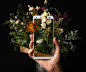 Shooting Multilaser Smartphones : Still life product photography for a Brazilian smartphone brand. Use of vibrant colors and things popping out of the screen. The flowers are from Acorda Margarida (SP, Brasil).