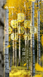 白露 White Dew

天气转凉，露凝而白。