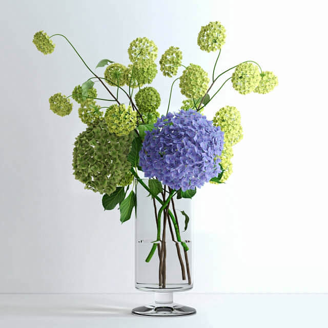 玻璃瓶中的绣球花和荚蒾3D模型（OBJ,...