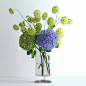 玻璃瓶中的绣球花和荚蒾3D模型（OBJ,FBX,MAX） 