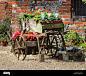 Flowers garden wagon plants hi-res stock photography and images - Alamy