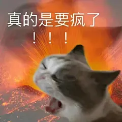 来自相册