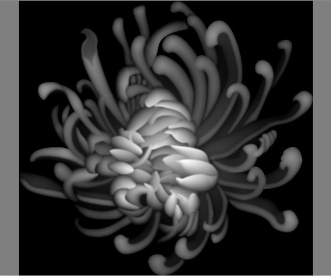灰度图浮雕菊花