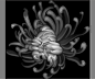 灰度图浮雕菊花