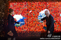 Luciadodo采集到多媒体